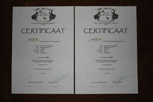 Aide Aux Anes - adoptie - certificaat