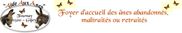 Aide Aux Anes
